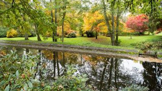 Arboretum van Rendeux