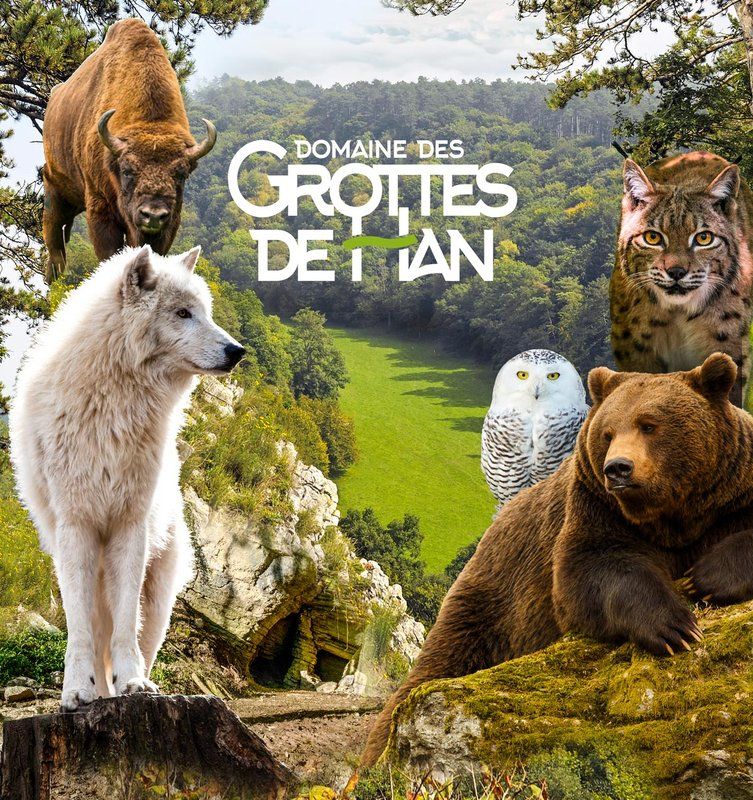 Domein van de Grotten van Han